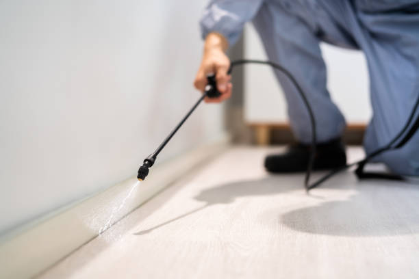 Professional exterminator conducting IPM assessment in Clifton Knolls-Mill Creek